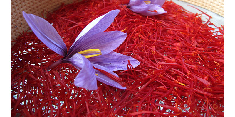 زعفران  (saffron)