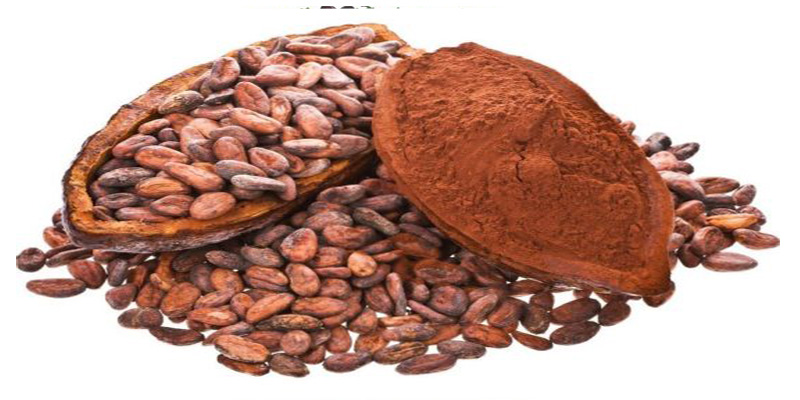 آیا کاکائو غذایی شیرین برای مغز محسوب می‌شود؟