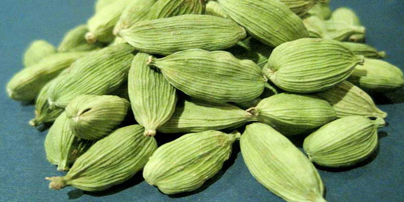 هل سبز (Semen Cardamomi) هل سبز (Semen Cardamomi)