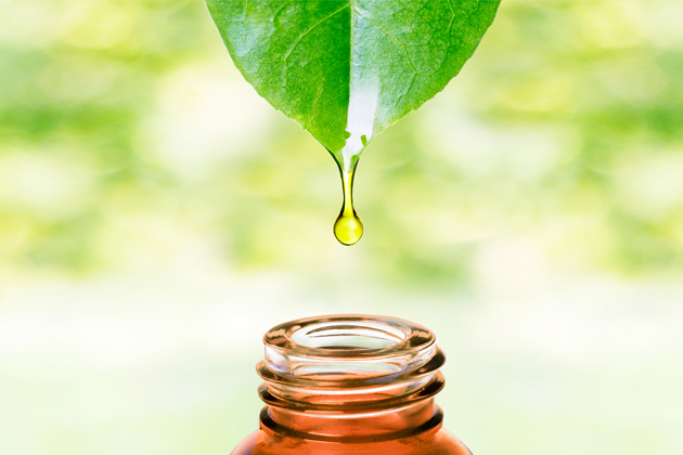 9 روغن گیاهی شگفت انگیز 