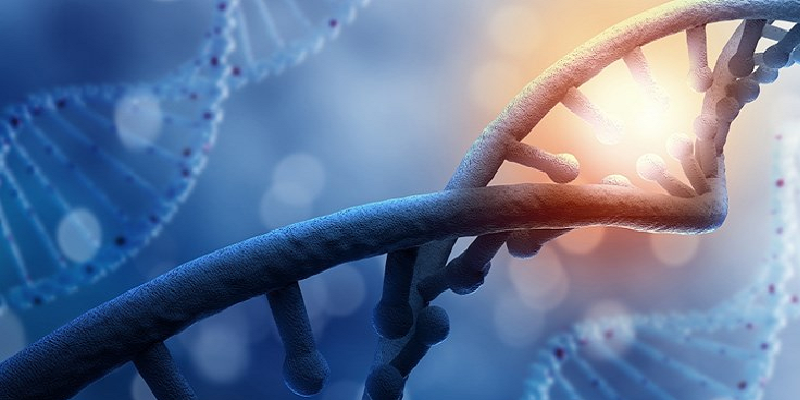 پیش‌بینی طول عمر با بررسی DNA