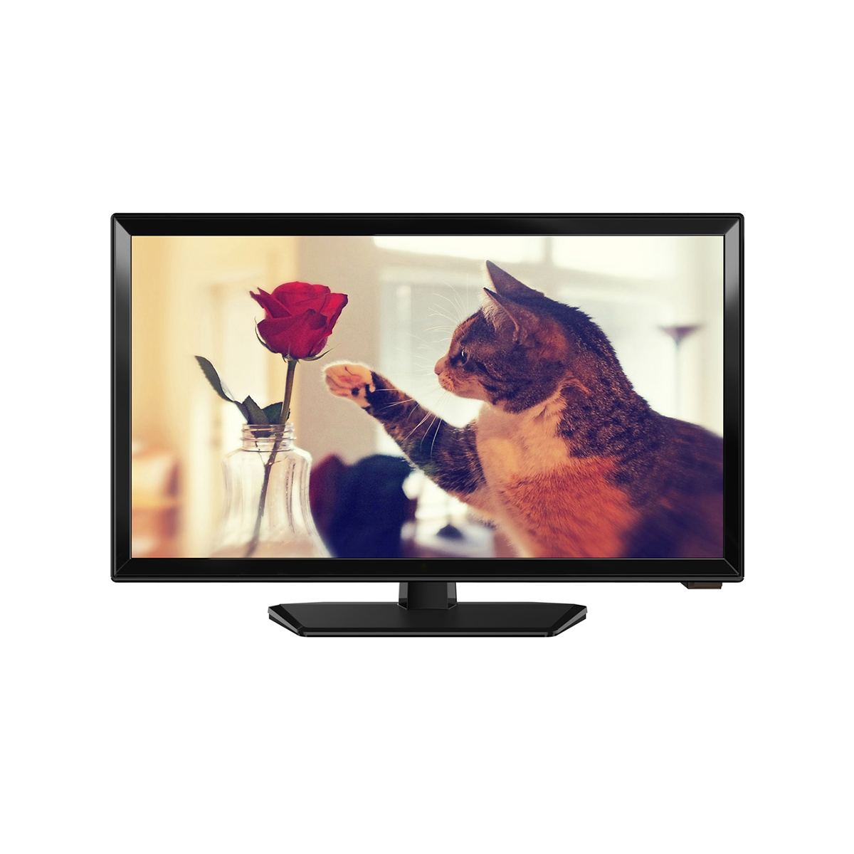 تلویزیون LED سایز 20 اینچ مدل TCL-D2700 شهاب