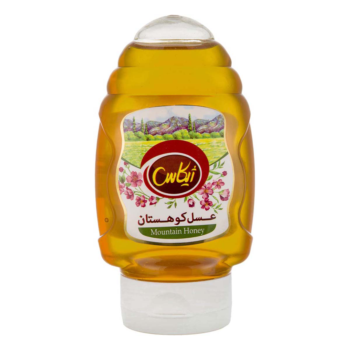 عسل کوهستان 400 گرمی ژیکاس