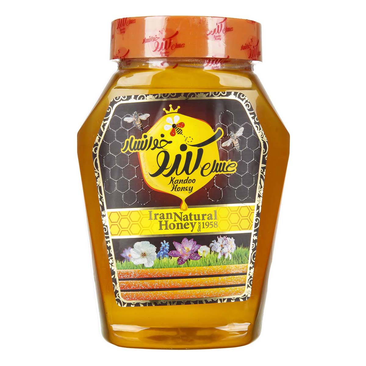 عسل 1 کیلویی کندو خوانسار