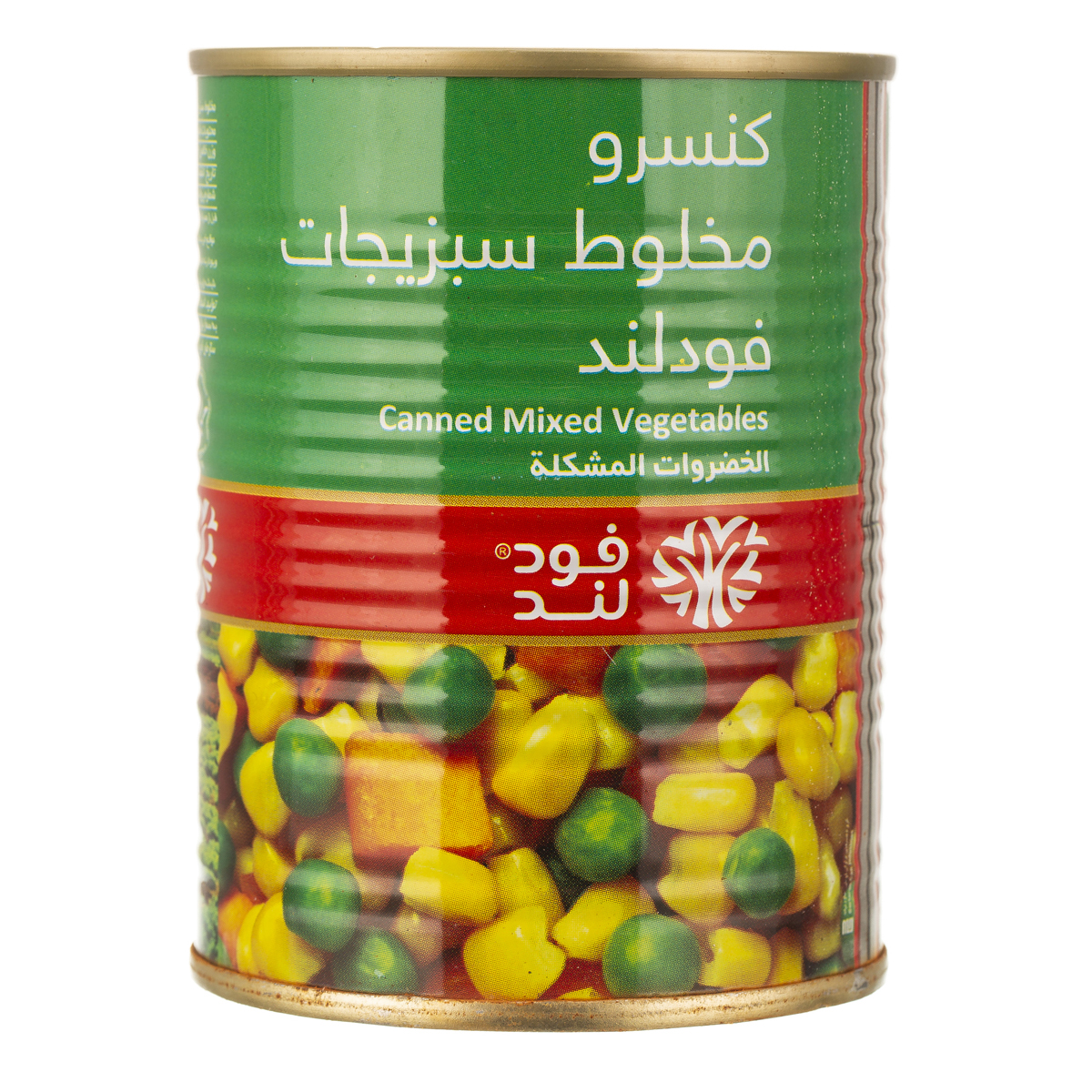 کنسرو مخلوط سبزیجات 380 گرمی فودلند