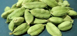 هل سبز (Semen Cardamomi)