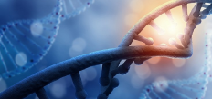 پیش‌بینی طول عمر با بررسی DNA