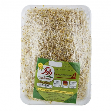 جوانه شبدر 250 گرمی راوک