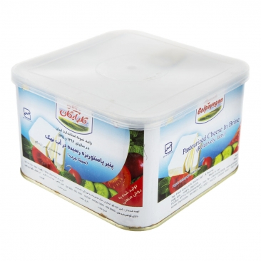 پنیر پاستوریزه 800 گرمی پگاه