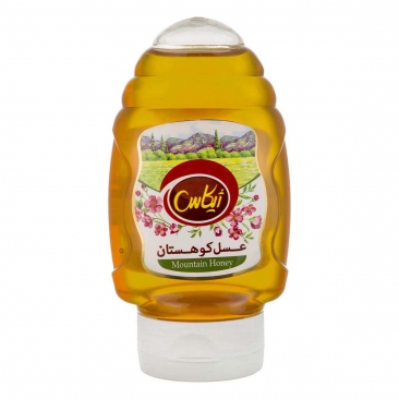 عسل کوهستان 400 گرمی ژیکاس