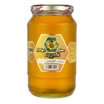 عسل بهاره 1400 گرمی گلچین