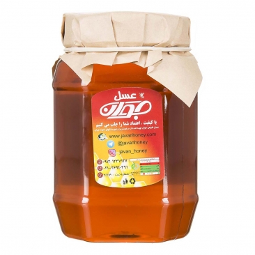 عسل سیاه دانه 1 کیلویی جوان