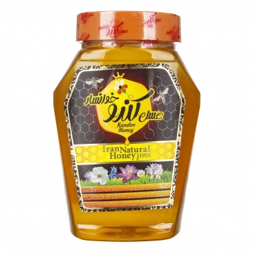 عسل 1 کیلویی کندو خوانسار