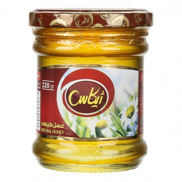 عسل 220 گرمی ژیکاس