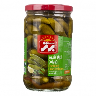 خیار شور ویژه 670 گرمی برتر