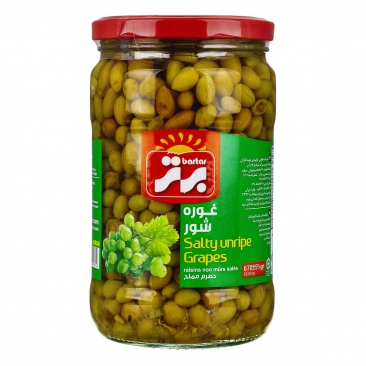 غوره شور 670 گرمی برتر