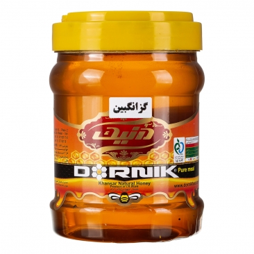 عسل گزانگبین 1000 گرمی درنیک