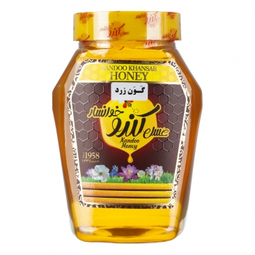 عسل گون زرد 1050 گرمی کندو خوانسار