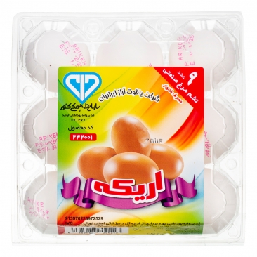 تخم مرغ 9 عددی اریکه