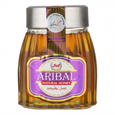 عسل کردستان آویشن 420 گرمی آریبال