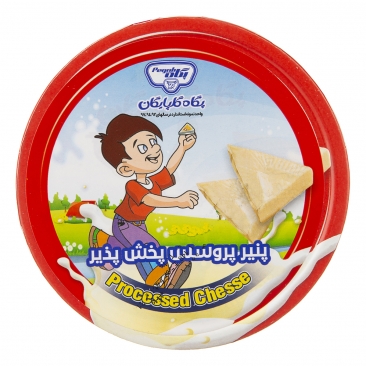 پنیر پروسس سه گوش 140 گرمی پگاه