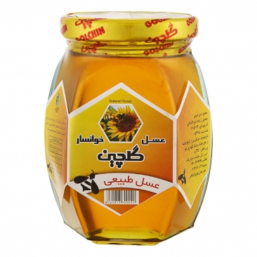 عسل بدون موم 450 گرمی گلچین