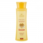 شامپو پروتئینه جوانه گندم 250 میلی‌لیتری سینره