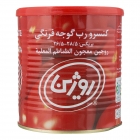 رب گوجه فرنگی 800 گرمی روژین