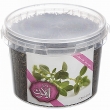 سوسنبر خشک 80 گرمی آلاگون